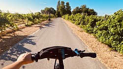 Mórahalom ebike bérlés kerékpár kölcsönző trekking