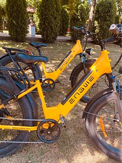 Bicikli kerékpár kölcsönző Mórahalom